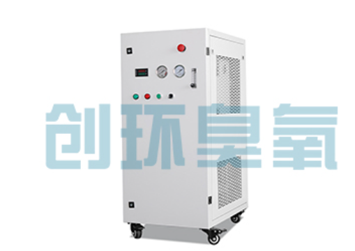 许昌石斑鱼养殖水质调控完整指南:臭氧发生器配置与操作步骤