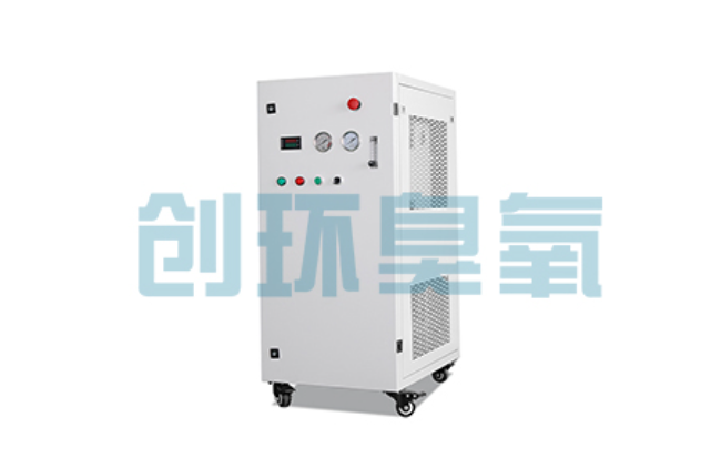 许昌比传统换水更高效?臭氧发生器在石斑鱼养殖中的水质净化原理解析